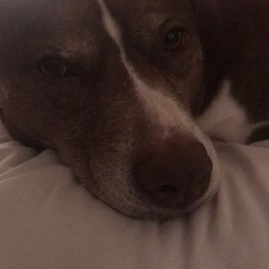 Meet your Posher, Lynne